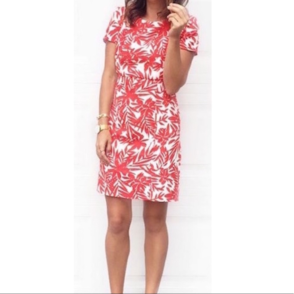 Goodnight macaroon dress